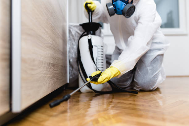 Best Mosquito Control Services  in Rapid City, SD