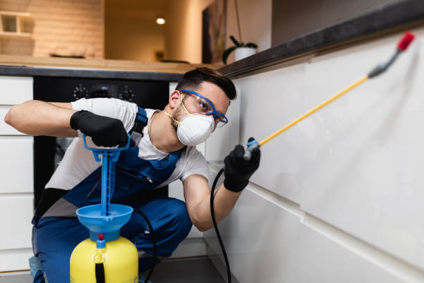 Insect Control in Rapid City, SD