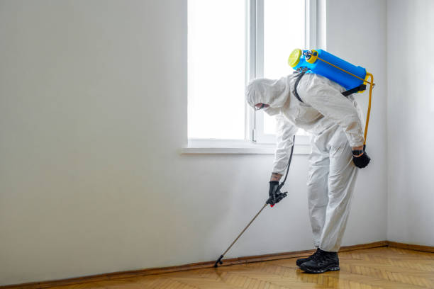 Best Pest Control Near Me in Rapid City, SD