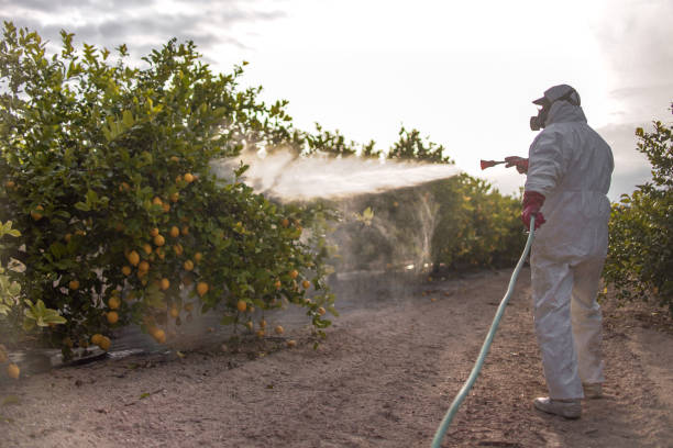Best Commercial Pest Control Services  in Rapid City, SD