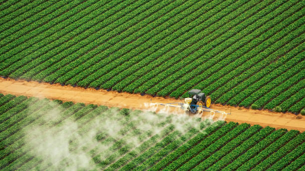 Pest Control Cost in Rapid City, SD