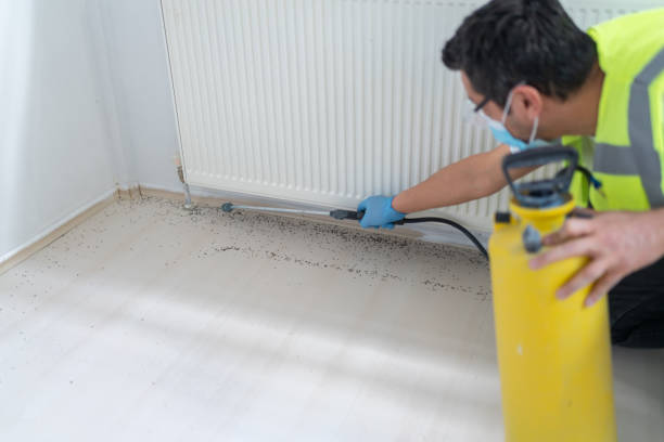 Reliable Rapid City, SD Pest Control Solutions