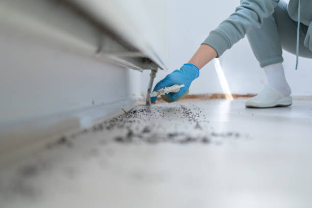Best Affordable Pest Control Services  in Rapid City, SD