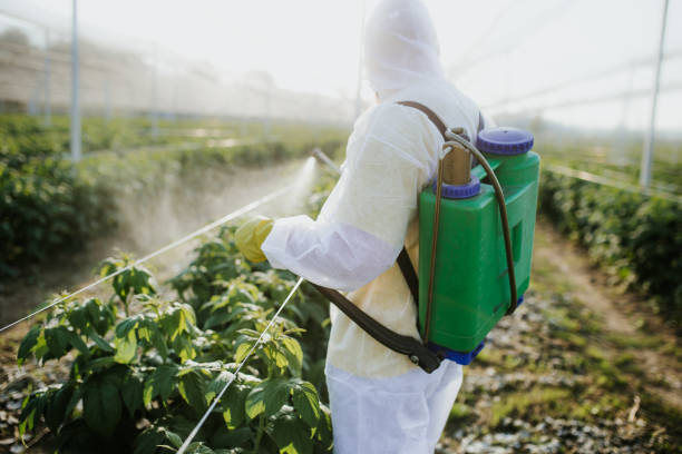 Best Best Pest Control Companies  in Rapid City, SD
